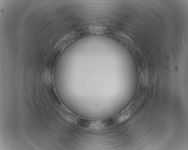 X0000064740705200602101148