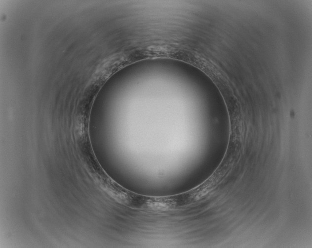 X0000064740706200602101148