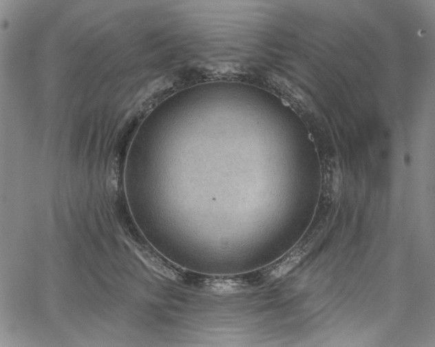 X0000064740710200602101148