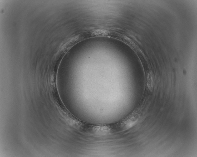 X0000064740714200602101148