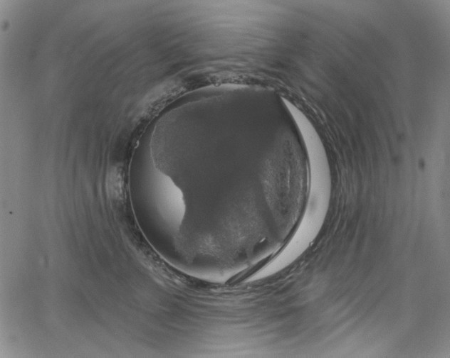 X0000064740715200602101148