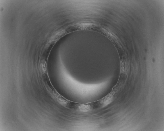 X0000064740718200602101148