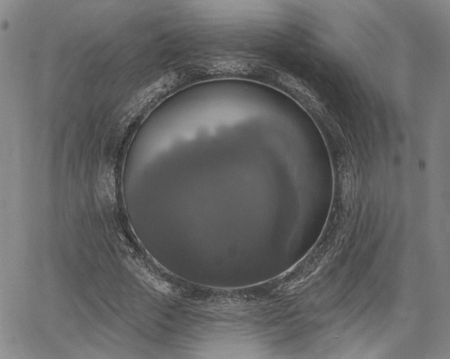 X0000064740729200602101147