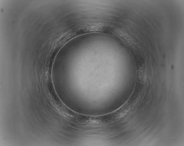 X0000064740741200602101147