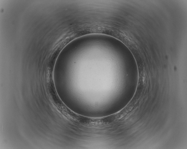 X0000064740744200602101147