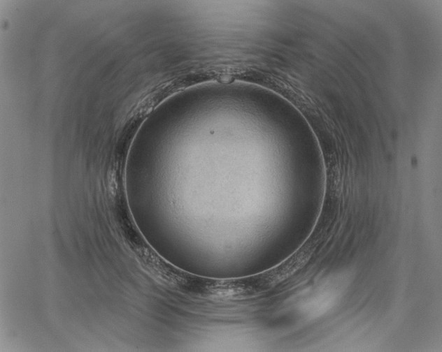 X0000064740746200602101147
