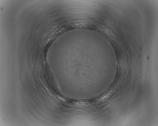 X0000064740751200602101147