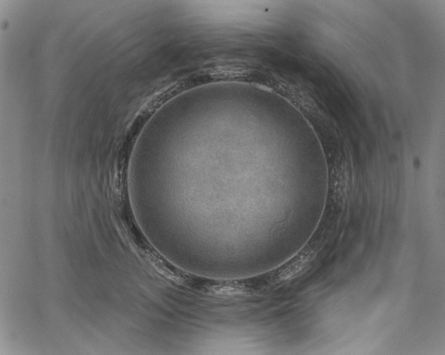 X0000064740755200602101147
