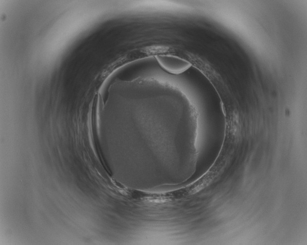 X0000064740763200602101147