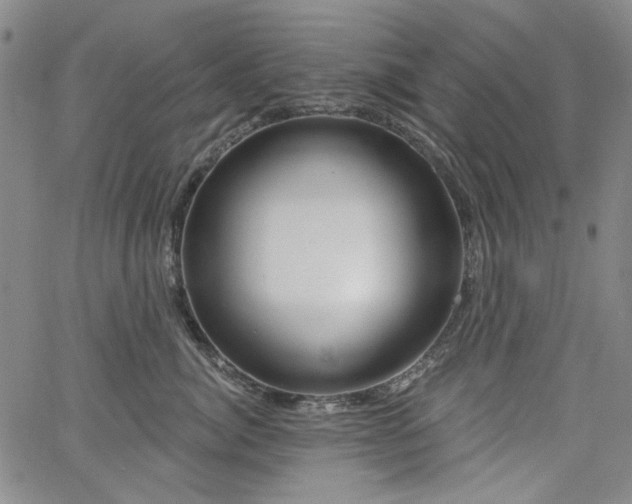 X0000064740764200602101147