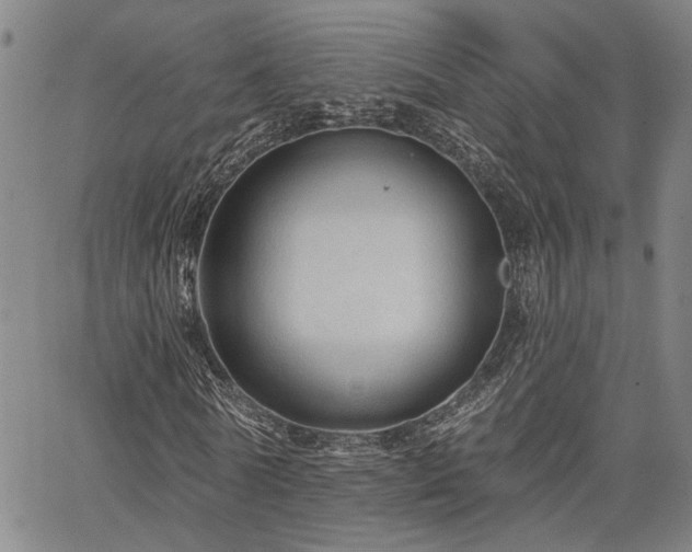 X0000064740770200602101147