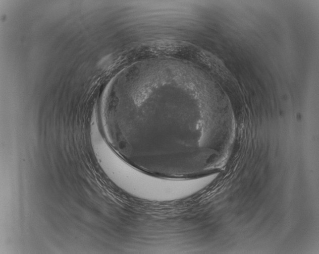 X0000064740772200602101147