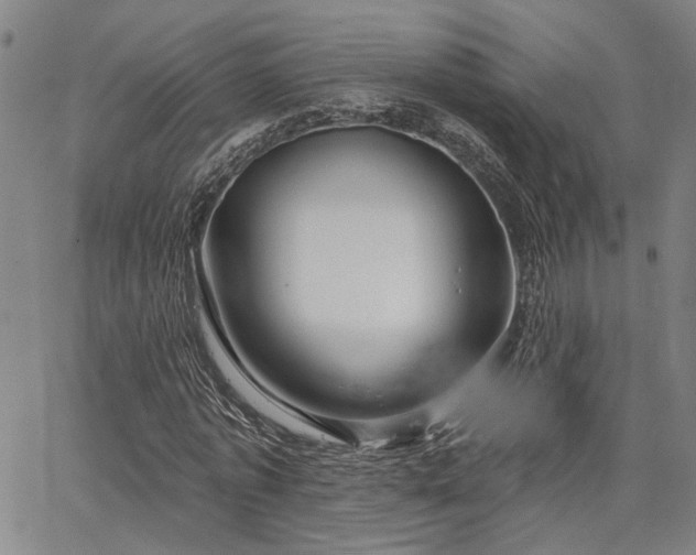 X0000064740773200602101147