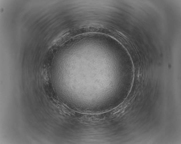 X0000064740774200602101147