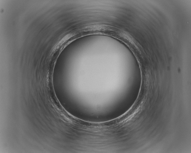 X0000064740778200602101147