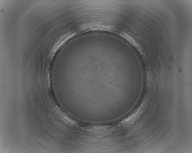 X0000064740782200602101147