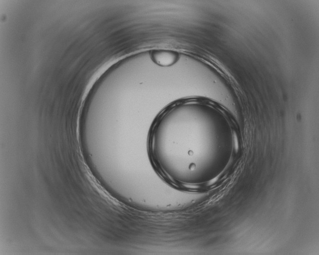 X0000064740788200602101146