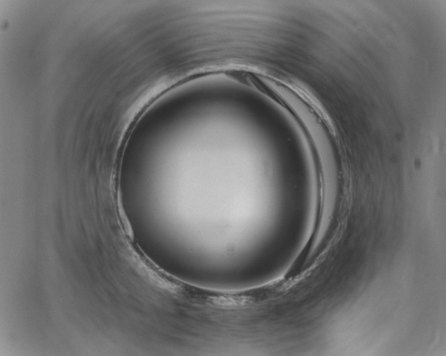 X0000064740805200602101146