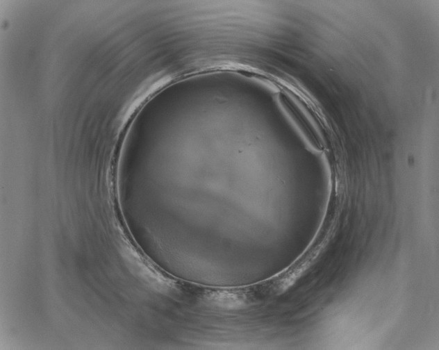 X0000064740806200602101146
