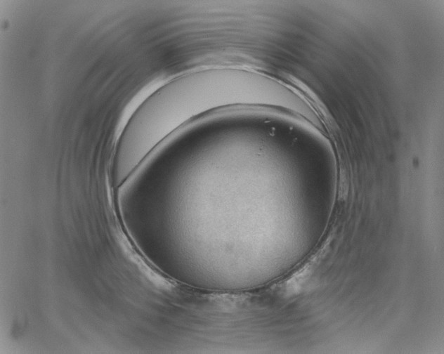 X0000064740812200602101146