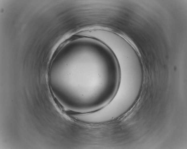 X0000064740813200602101146