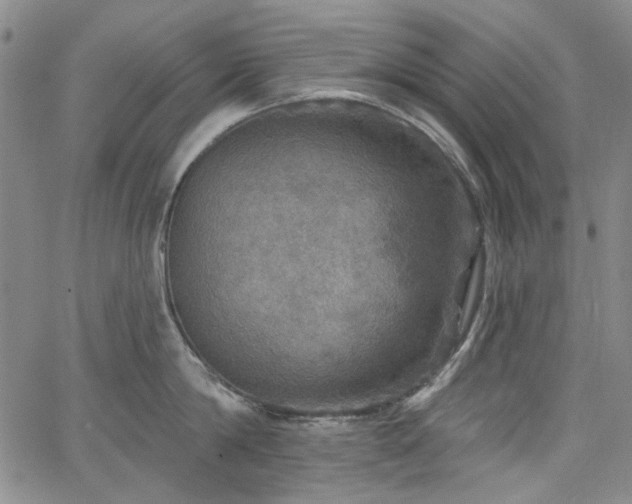 X0000064740814200602101146