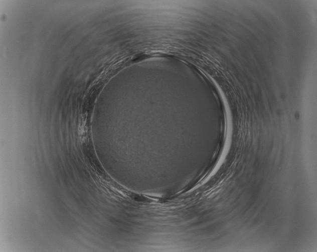 X0000064740818200602101145