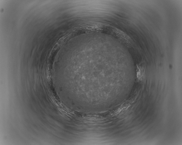 X0000064740819200602101145