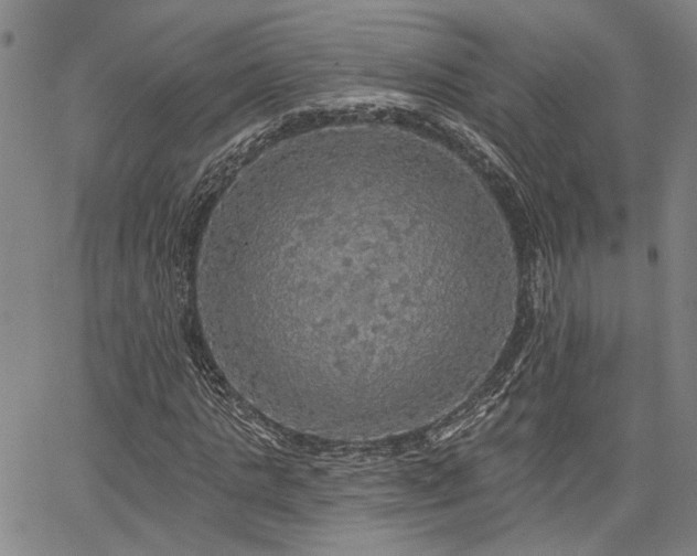 X0000064740821200602101145