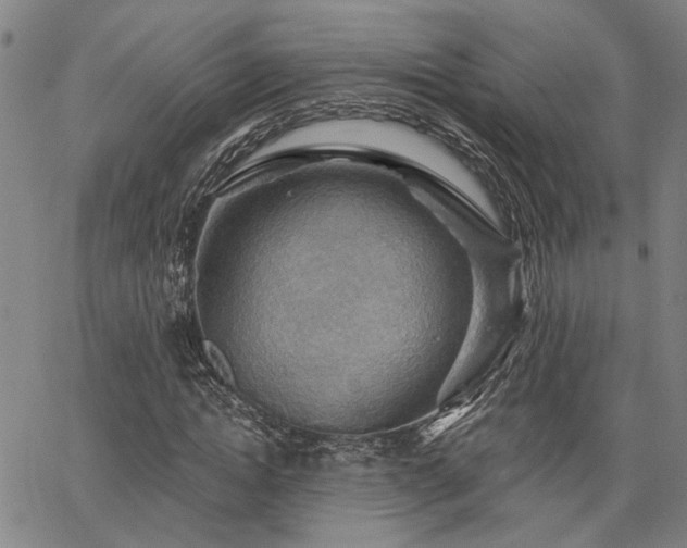 X0000064740822200602101145