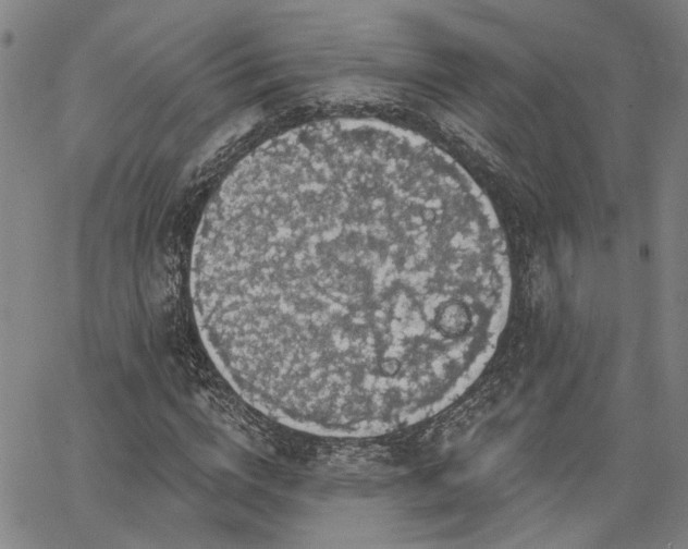 X0000064740824200602101145