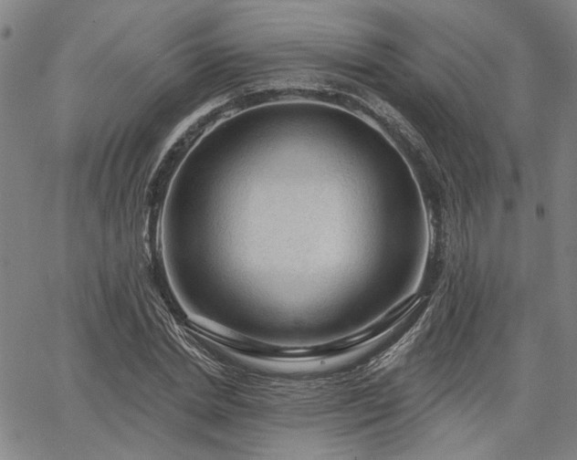 X0000064740830200602101145