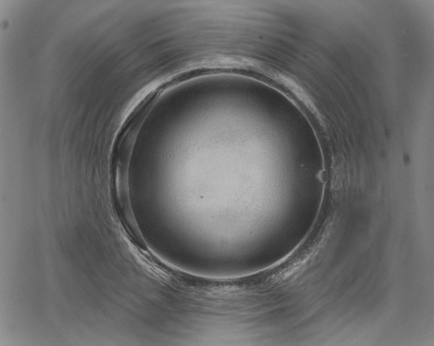X0000064740837200602101145