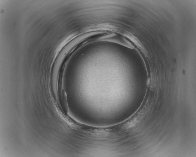 X0000064740850200602101146