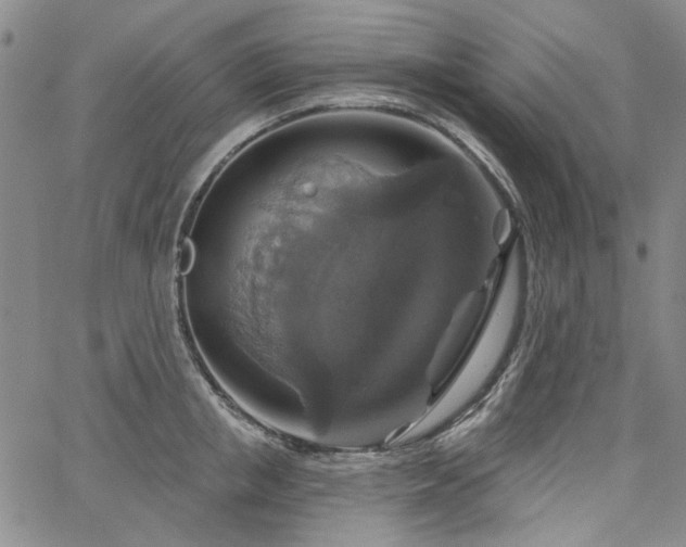 X0000064740853200602101146