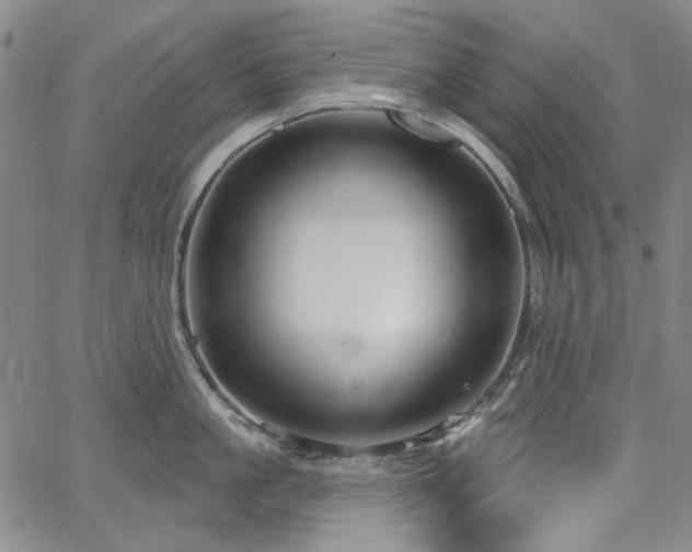 X0000064740861200602101146
