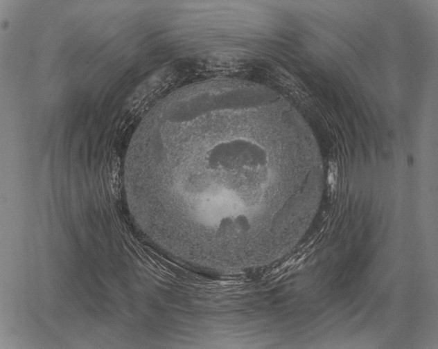 X0000064740867200602101145