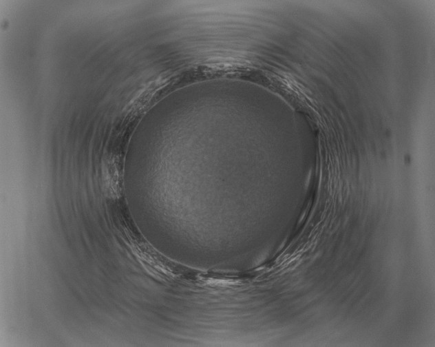 X0000064740868200602101145
