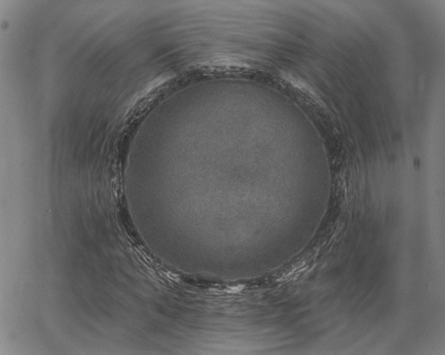 X0000064740870200602101145