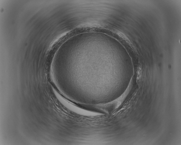 X0000064740872200602101145