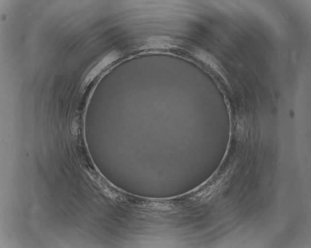 X0000064740874200602101145