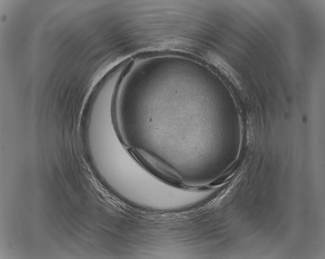 X0000064740876200602101145