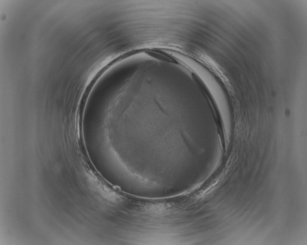 X0000064740892200602101145