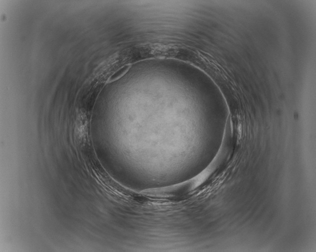 X0000064740914200602101144