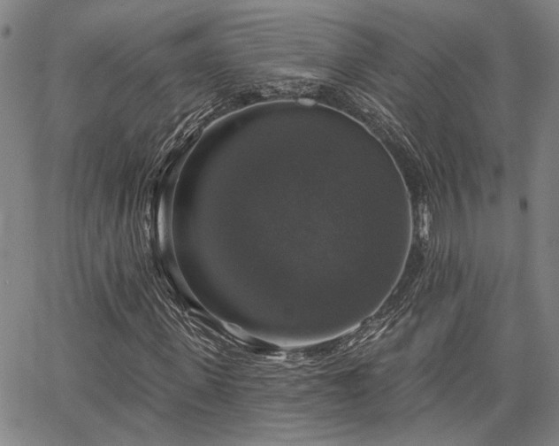X0000064740915200602101144