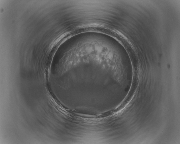 X0000064740921200602101144