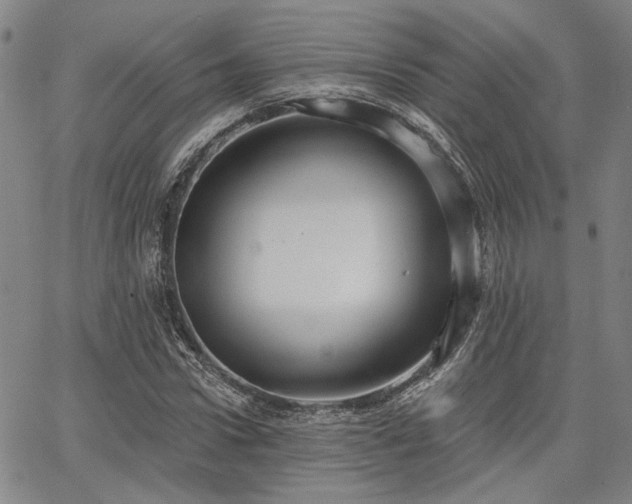 X0000064740922200602101144