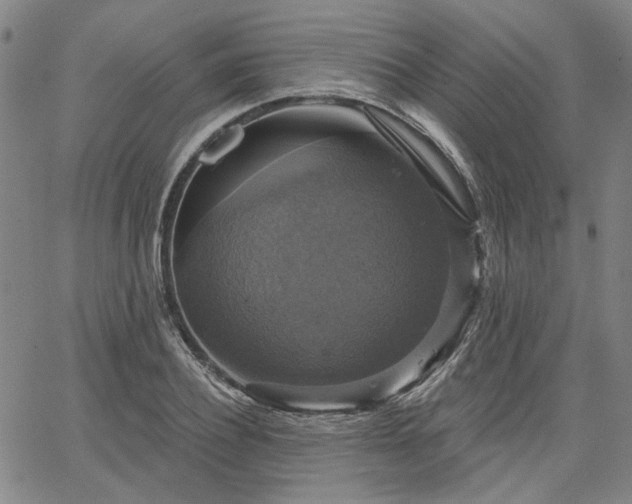 X0000064740932200602101144