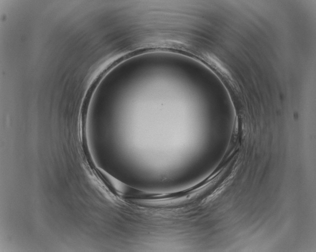 X0000064740940200602101144