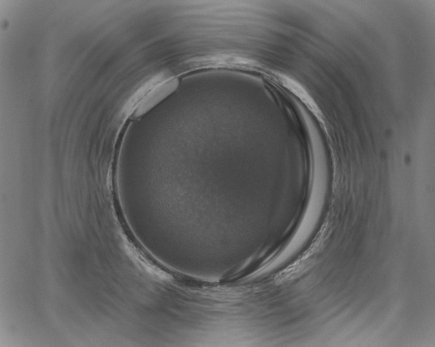 X0000064740946200602101144